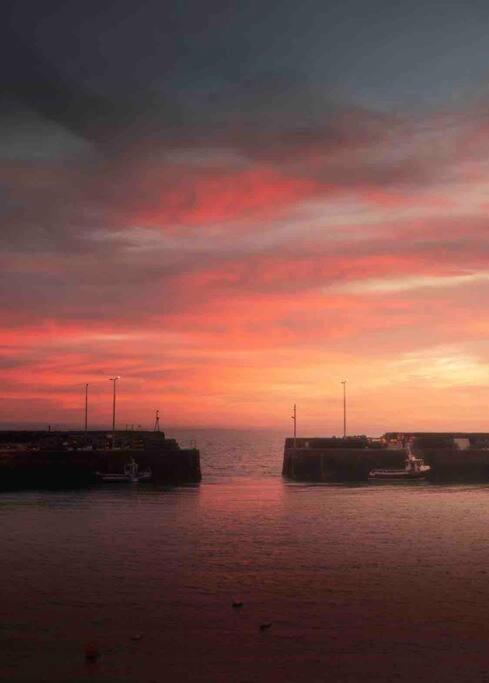 No3 By The Sea A 5 Star Cozy Coastal Cottage Saint Monance 外观 照片