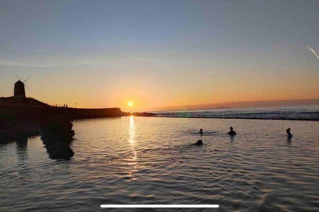 No3 By The Sea A 5 Star Cozy Coastal Cottage Saint Monance 外观 照片
